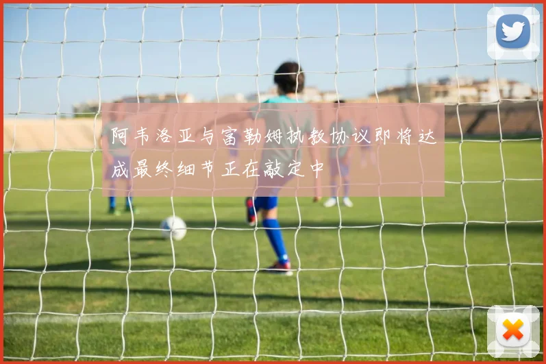 阿韦洛亚与富勒姆执教协议即将达成最终细节正在敲定中