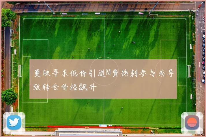 曼联寻求低价引进M费热刺参与或导致转会价格飙升